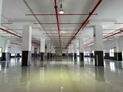 Serangoon North Avenue 4 (D19), Factory #566800381